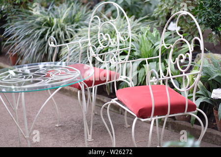 A rest corner in a winter tropical garden. Stock Photo