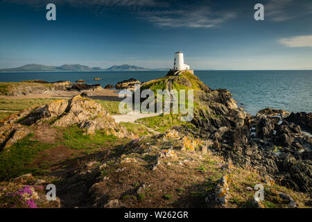 Twr Mawr lighthouse taken on a summers evening in July this image is of a lighthouse situated on llandwyn island, Anglesey, northwales Stock Photo