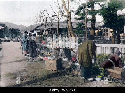 [ 1900s Japan - Japanese New Year - Shopping ] —   A housewife shops for a plant during the preparations for New Year.   This image is part of The New Year in Japan, a book published by Kobe-based photographer Kozaburo Tamamura in 1906 (Meiji 39).  20th century vintage collotype print. Stock Photo