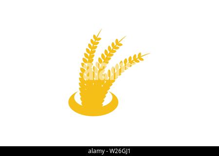 Wheat Grain Agriculture Logo Designs Inspiration Isolated on White Background Stock Vector