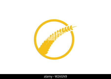 Wheat Grain Agriculture Logo Designs Inspiration Isolated on White Background Stock Vector
