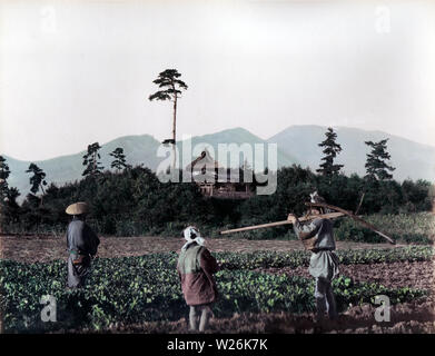 [ 1890s Japan - Japanese Farmers ] —   People working in the field.  19th century vintage albumen photograph. Stock Photo