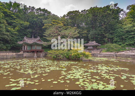 Pond in the Secret Garden of the Changdeokgung palace, in summer, Seoul, Korea