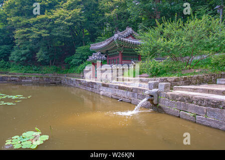 Pond and small waterfall in the Secret Garden of the Changdeokgung palace in summer, Seoul, Korea