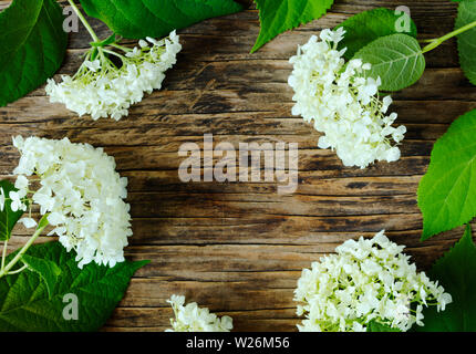 Hydrangea flowers frame, top view. Hydrangea flowers on wooden background Stock Photo
