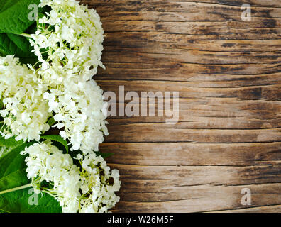 Hydrangea flowers frame, top view. Hydrangea flowers on wooden background Stock Photo