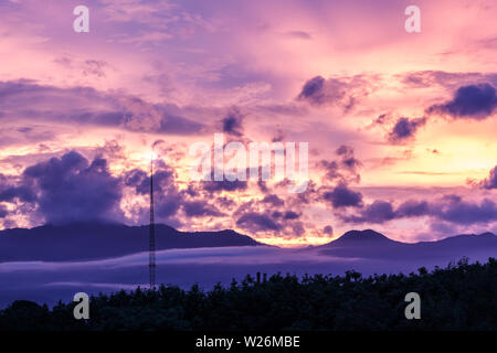 Swilight sunset sky clouds with forest Stock Photo