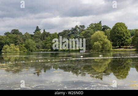 The Roath Park Lake in the centre of Cardiff, the capital city of Wales. Photographed on a sunny July day in summer. Stock Photo