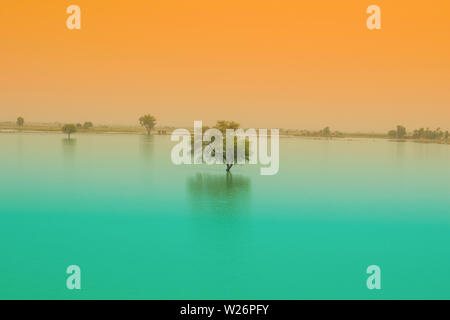 a tree in a blue water lake with sunset background.tree in a lake in punjab, pakistan. Stock Photo