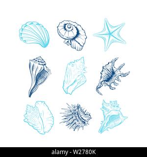 Seashells hand drawn vector illustrations set. Underwater animals, starfish, sea urchin blue ink engravings isolated on white background. Oceanic fauna, spiral shaped conch drawings. Tattoo, sticker Stock Vector