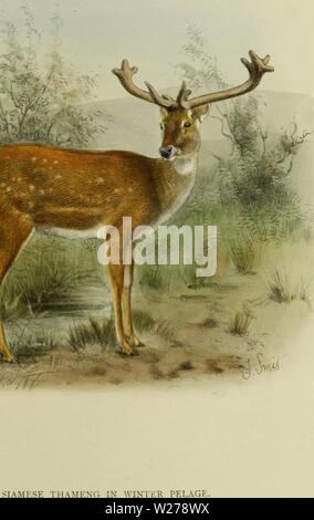 Archive image from page 252 of The deer of all lands;