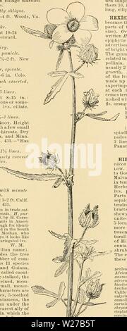 Archive image from page 260 of Cyclopedia of American horticulture