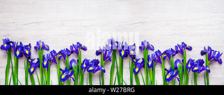 Banner for website. Beautiful iris flowers on wooden background, holiday, greeting card, space for text. Stock Photo