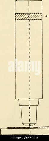 Archive image from page 270 of Cytology (1961) Stock Photo