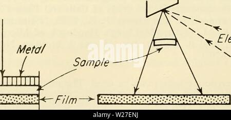 Archive image from page 271 of Cytology (1961) Stock Photo