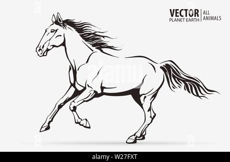 Running Horse Coloring Pages - Free & Printable!