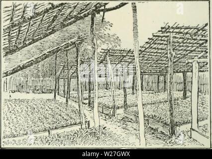 Archive image from page 279 of Cyclopedia of farm crops Stock Photo