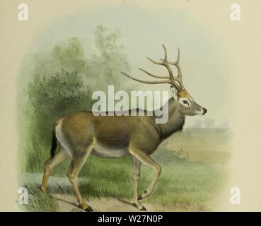 Archive image from page 296 of The deer of all lands;