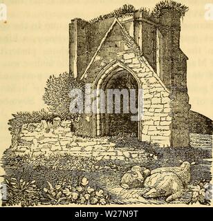Archive image from page 298 of Delineations of the north western Stock Photo