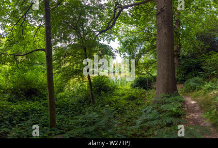 Woodland Walk,Lake,Mount Ephraim Gardens,Faversham,Kent Stock Photo