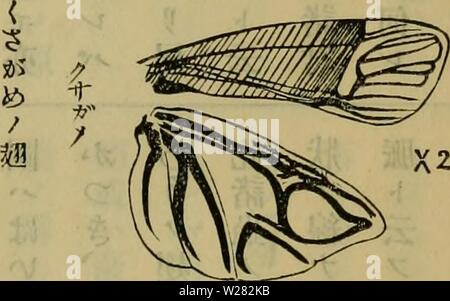 Archive image from page 348 of Dbutsugaku zasshi (1889)