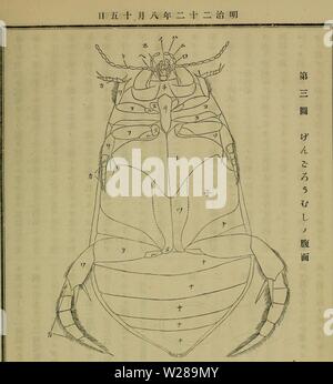 Archive image from page 394 of Dbutsugaku zasshi (1889)