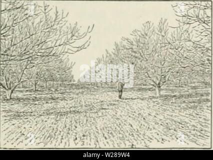 Archive image from page 396 of Cyclopedia of farm crops Stock Photo