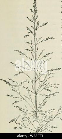 Archive image from page 420 of Cyclopedia of farm crops Stock Photo