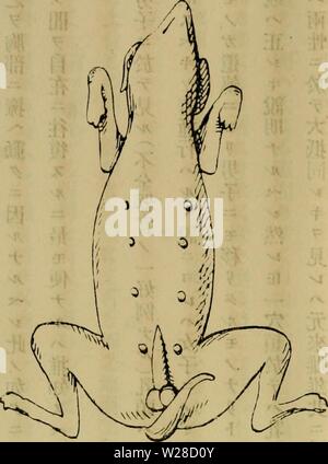 Archive image from page 421 of Department bulletin (1923-1929 Stock ...