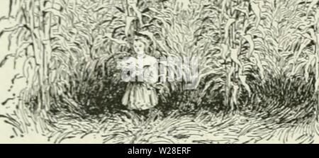 Archive image from page 437 of Cyclopedia of farm crops