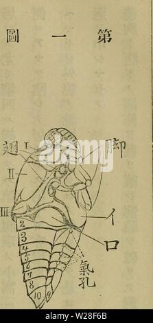 Archive image from page 442 of Dbutsugaku zasshi (1889)