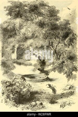 Archive image from page 449 of De Dierentuin van het Koninklijk. De Dierentuin van het Koninklijk Zoologisch Genootschap Natura Artis Magistra te Amsterdam  dedierentuinvanh00schl Year: 1872  HET BEVERPARK. Stock Photo