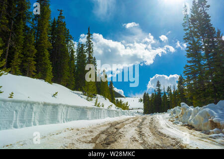 Snow Covered Dirt Road by a Snowbank in the Mountains Stock Photo