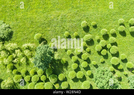 summer natural landscape, aerial top view. green lawn and fresh trees growing in park Stock Photo