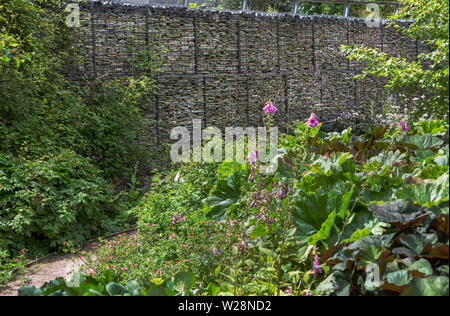 Gabion wall in the Robinson garden RHS Hyde Hall, Essex. Stock Photo