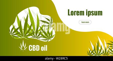 Logo with hemp leaf and text CBD oil. Hemp leaves background. Web banner template Stock Vector