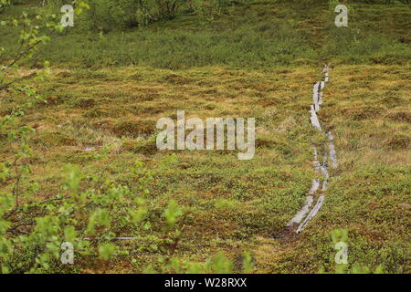 Bog with lath path at Nikkaluokta in Sweden on a rainy day. Stock Photo