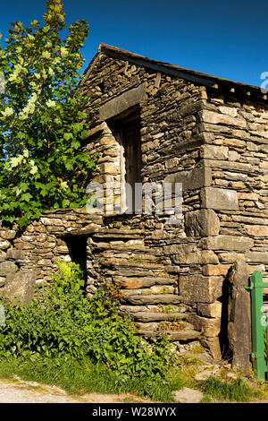 UK, Cumbria, Hawkshead, Far Sawrey, stone steps to upper floor of traditionally built barn Stock Photo