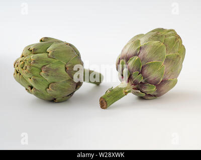 two artichokes on white background with natural light Stock Photo