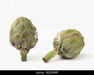 two artichokes on white background with natural light Stock Photo