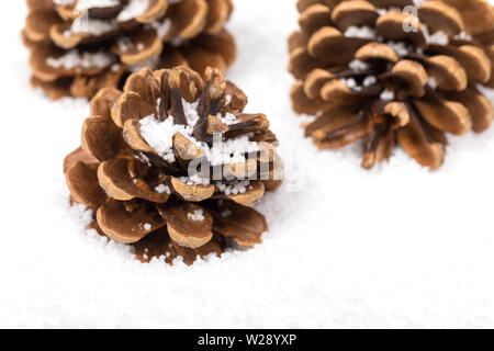 Group of fir cones in the snow with space for text. Seasonal symbol of winter and Christmas. Stock Photo