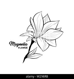 Magnolia flower in blossom, beautiful home decor and interior design, isolated illustration vector. Floral outline contour drawing for laser cuttling files. Spring blossom. Wildflower botanical plant. Stock Vector