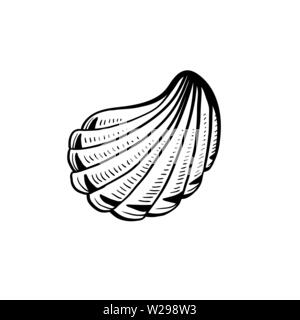 Angular murex seashell hand drawn illustration. Seashore conch, mollusk monochrome sketch. Freehand outline clam shell engraving. Conchology isolated design element. Realistic ink pen drawing Stock Vector