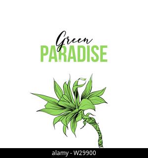 Agave hand drawn vector illustration. Green paradise typography. Tropical palm tree sketch. Exotic plant, flower outline drawing. Summer resort, spa club, botanical garden poster design element Stock Vector