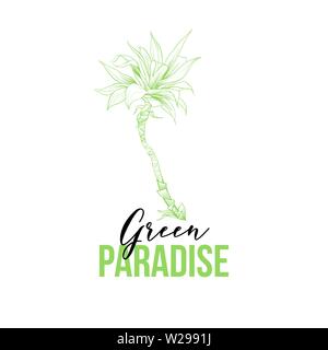 Agave Attenuata hand drawn vector illustration. Sketch tropical palm tree. Exotic plant, flower outline drawing. Green paradise lettering. Summer resort, beach party poster design element Stock Vector