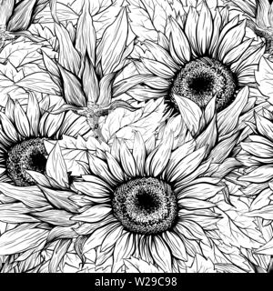 Sunflower hand drawn seamless vector pattern. Blooming flower ink pen black texture. Outline sketch illustration. Helianthus vintage freehand drawing. Stock Vector