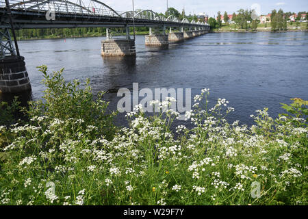 Umea sweden pedestrian hi-res stock photography and images