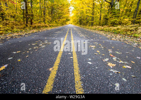 Michigan Fall Color Tour. Wide open rural road through an autumn forest ablaze with fall color Stock Photo