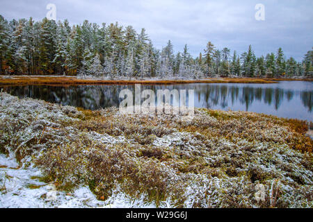 Michigan Winter Wonderland. Gorgeous forest with fresh fallen snow reflected in the still waters of a wilderness lake in the Upper Peninsula Michigan. Stock Photo