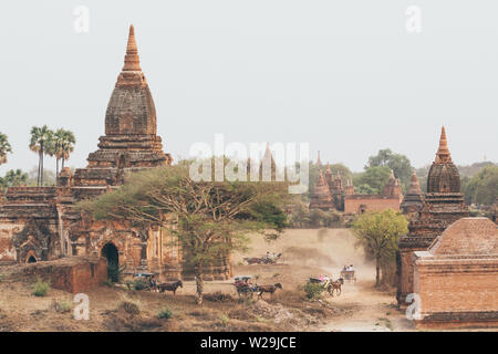 Horse carriages driving tourists through ancient temples and pagodas in Bagan at sunset, Myanmar. Stock Photo